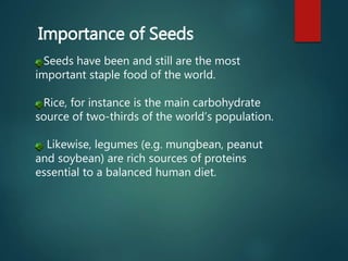 Seeds have been and still are the most
important staple food of the world.
Rice, for instance is the main carbohydrate
source of two-thirds of the world’s population.
Likewise, legumes (e.g. mungbean, peanut
and soybean) are rich sources of proteins
essential to a balanced human diet.
Importance of Seeds
 