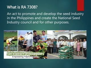 What is RA 7308?
An act to promote and develop the seed industry
in the Philippines and create the National Seed
Industry council and for other purposes.
 