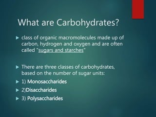 What are Carbohydrates?
 class of organic macromolecules made up of
carbon, hydrogen and oxygen and are often
called "sugars and starches"
 There are three classes of carbohydrates,
based on the number of sugar units:
 1) Monosaccharides
 2)Disaccharides
 3) Polysaccharides
 