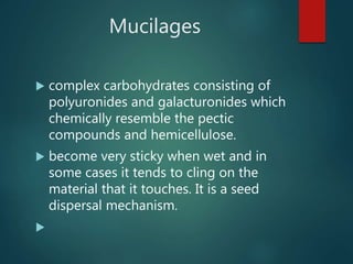 Mucilages
 complex carbohydrates consisting of
polyuronides and galacturonides which
chemically resemble the pectic
compounds and hemicellulose.
 become very sticky when wet and in
some cases it tends to cling on the
material that it touches. It is a seed
dispersal mechanism.

 