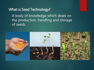 What is Seed Technology?
A body of knowledge which deals on
the production, handling and storage
of seeds.
 