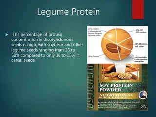 Legume Protein
 The percentage of protein
concentration in dicotyledonous
seeds is high, with soybean and other
legume seeds ranging from 25 to
50% compared to only 10 to 15% in
cereal seeds.
 