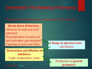Germination: The breaking of dormancy
The growth of the embryo and its penetration of the seed coat
Break down of barriers
Abrasion of seed coat (soil
particles)
Decomposition of seed coat
(soil microbes, gut enzymes)
Cracking of seed coat (fire) Change in physical state -
rehydration
Destruction and dilution of
inhibitors
Light, temperature, water
Production of growth
promoters© 2008 Paul Billiet ODWS
 