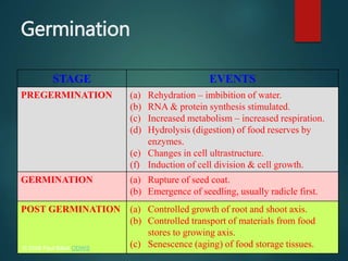Germination
STAGE EVENTS
PREGERMINATION (a) Rehydration – imbibition of water.
(b) RNA & protein synthesis stimulated.
(c) Increased metabolism – increased respiration.
(d) Hydrolysis (digestion) of food reserves by
enzymes.
(e) Changes in cell ultrastructure.
(f) Induction of cell division & cell growth.
GERMINATION (a) Rupture of seed coat.
(b) Emergence of seedling, usually radicle first.
POST GERMINATION (a) Controlled growth of root and shoot axis.
(b) Controlled transport of materials from food
stores to growing axis.
(c) Senescence (aging) of food storage tissues.© 2008 Paul Billiet ODWS
 