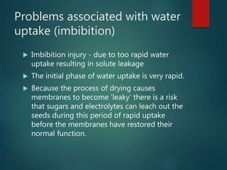 Problems associated with water
uptake (imbibition)
 Imbibition injury - due to too rapid water
uptake resulting in solute leakage
 The initial phase of water uptake is very rapid.
 Because the process of drying causes
membranes to become ‘leaky’ there is a risk
that sugars and electrolytes can leach out the
seeds during this period of rapid uptake
before the membranes have restored their
normal function.
 
