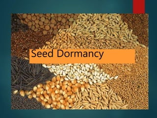 Seed Dormancy
 