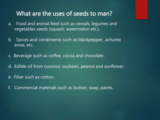 What are the uses of seeds to man?
a. Food and animal feed such as cereals, legumes and
vegetables seeds (squash, watermelon etc.).
b. Spices and condiments such as blackpepper, achuete,
anise, etc.
c. Beverage such as coffee, cocoa and chocolate.
d. Edible oil from coconut, soybean, peanut and sunflower.
e. Fiber such as cotton.
f. Commercial materials such as button, soap, paints.
 