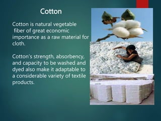Cotton
Cotton is natural vegetable
fiber of great economic
importance as a raw material for
cloth.
Cotton's strength, abso...