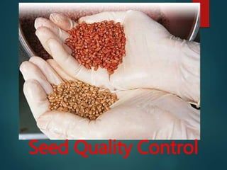 What is Seed Quality?
Seed quality indicates the seed’s ability to
germinate and establish “healthy” seedlings under
stres...