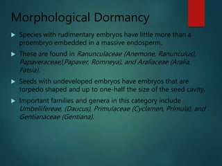 Morphological Dormancy
 Species with rudimentary embryos have little more than a
proembryo embedded in a massive endosper...