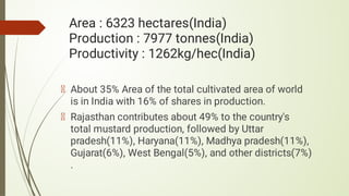 Area : 6323 hectares(India)
Production : 7977 tonnes(India)
Productivity : 1262kg/hec(India)
About 35% Area of the total cultivated area of world
is in India with 16% of shares in production.
Rajasthan contributes about 49% to the country's
total mustard production, followed by Uttar
pradesh(11%), Haryana(11%), Madhya pradesh(11%),
Gujarat(6%), West Bengal(5%), and other districts(7%)
.
 