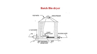 Batch Bin dryer
 