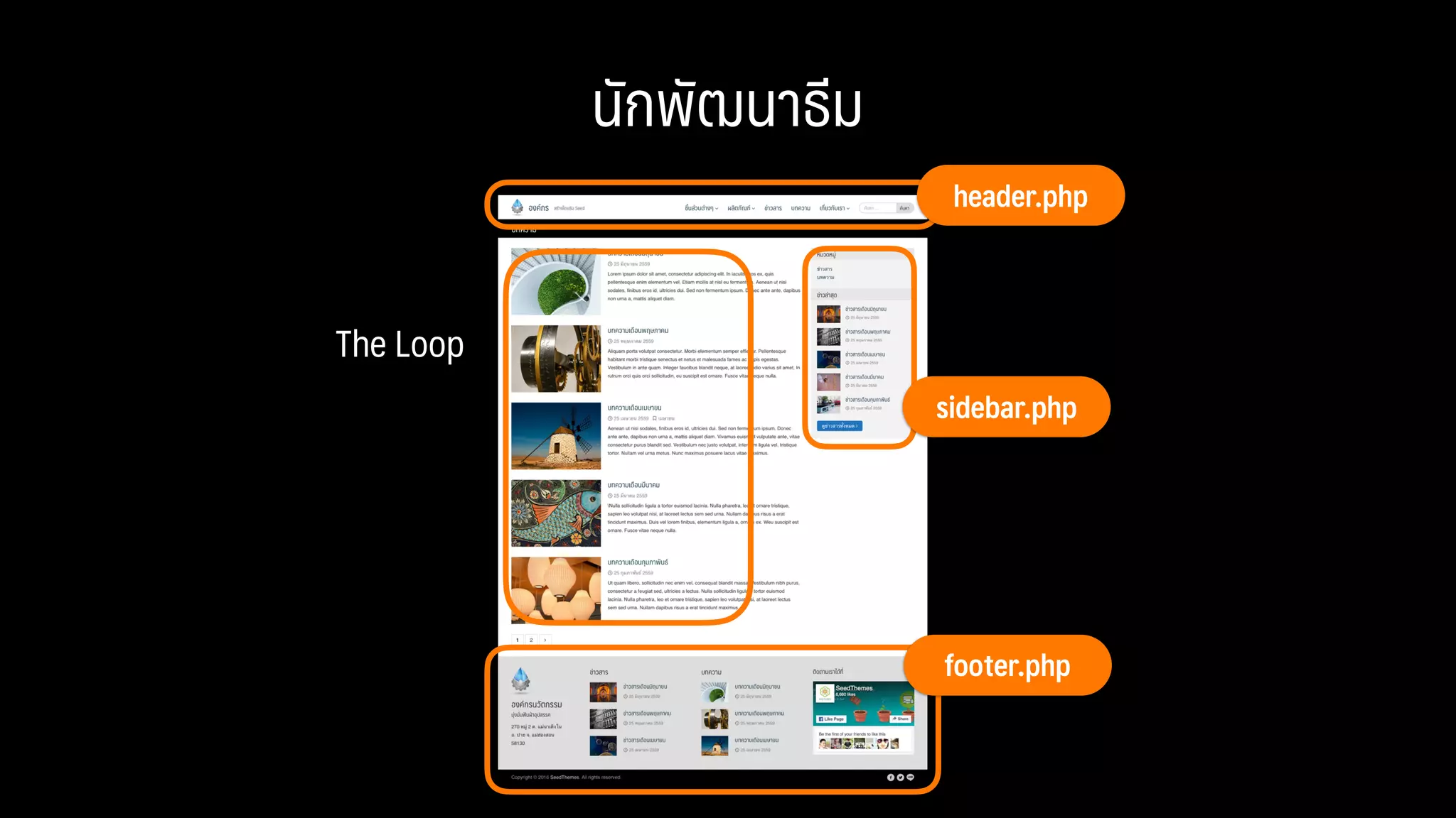 นักพัฒนาธีม
footer.php
header.php
sidebar.php
The Loop
 