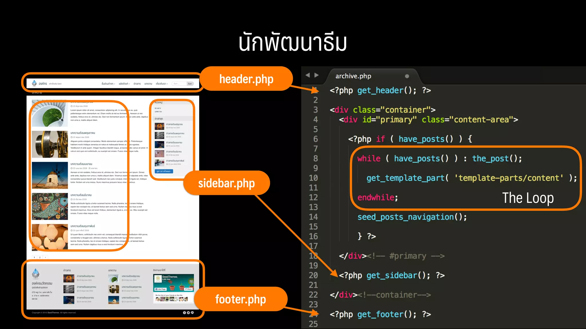 นักพัฒนาธีม
footer.php
header.php
sidebar.php
The Loop
 