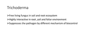 Trichoderma
Free living fungus in soil and root ecosystem
Highly interactive in root ,soil and foliar environment
Suppresses the pathogen by different mechanism of biocontrol
 