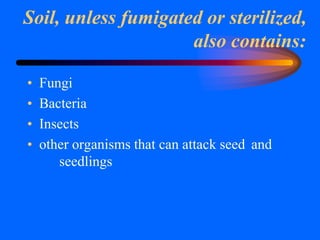 Soil, unless fumigated or sterilized,
also contains:
• Fungi
• Bacteria
• Insects
• other organisms that can attack seed and
seedlings
 