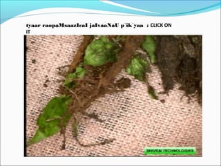 tyaar raopaMsaazIcaI jaIvaaNaU p`ik`yaa : CLICK ON
IT
 