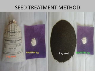 SEED TREATMENT METHOD
BAVISTIN 2 g BAVISTIN 2 g
1 kg seed
1 kg seed
 