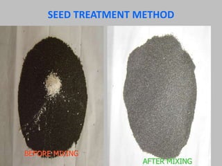 SEED TREATMENT METHOD
BEFORE MIXING
AFTER MIXING
 