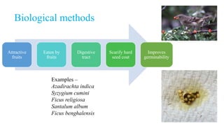 Biological methods
Attractive
fruits
Eaten by
fruits
Digestive
tract
Scarify hard
seed coat
Improves
germinability
Examples –
Azadirachta indica
Syzygium cumini
Ficus religiosa
Santalum album
Ficus benghalensis
 