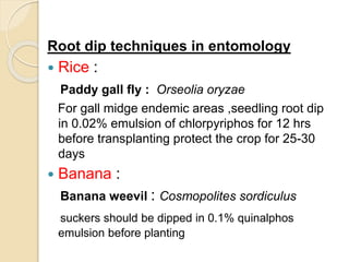 Root dip techniques in entomology
 Rice :
Paddy gall fly : Orseolia oryzae
For gall midge endemic areas ,seedling root dip
in 0.02% emulsion of chlorpyriphos for 12 hrs
before transplanting protect the crop for 25-30
days
 Banana :
Banana weevil : Cosmopolites sordiculus
suckers should be dipped in 0.1% quinalphos
emulsion before planting
 