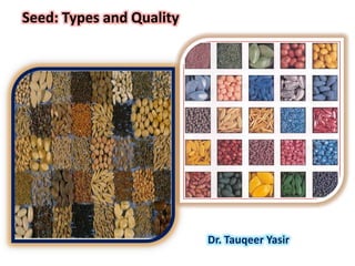 Seed: Types and Quality

Dr. Tauqeer Yasir

 
