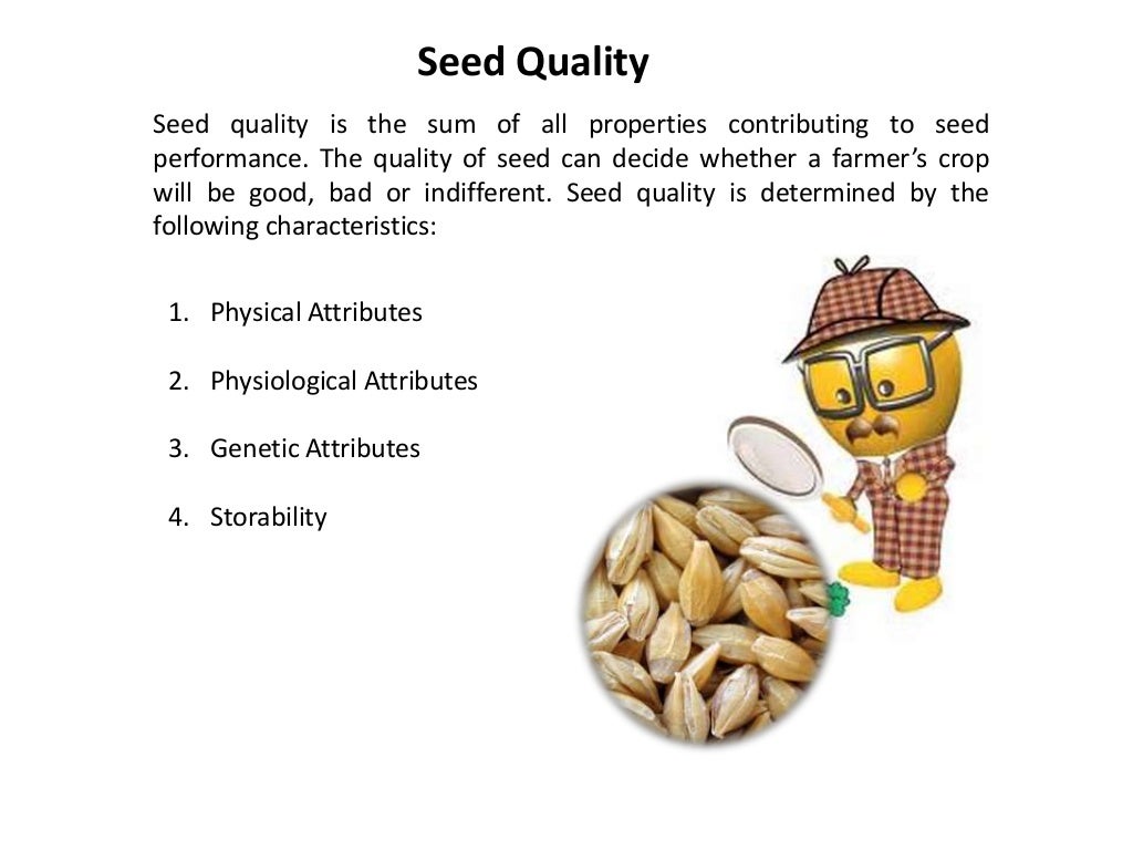 Seed, Seed Types and Seed Quality