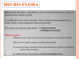 Bacteria do not play a significant role in seed deterioration, since it
requires free water to grow.
If conditions were moist enough , this would encourage growth of
fungi which would suppress bacterial growth.
Two types of fungi invade seeds: 1) FIELD FUNGI
2) STORAGE FUNGI
FIELD FUNGI;
These invade seeds during their development on plants in field.
They need a high moisture content for growth.
A period of high rainfall at the time of harvest result in extensive
grain deterioration.
ex: Alternaria, Fusarium and Helminthosporium
 