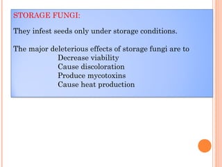 STORAGE FUNGI:
They infest seeds only under storage conditions.
The major deleterious effects of storage fungi are to
Decrease viability
Cause discoloration
Produce mycotoxins
Cause heat production
 