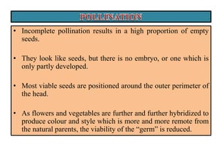 • Incomplete pollination results in a high proportion of empty
seeds.
• They look like seeds, but there is no embryo, or one which is
only partly developed.
• Most viable seeds are positioned around the outer perimeter of
the head.
• As flowers and vegetables are further and further hybridized to
produce colour and style which is more and more remote from
the natural parents, the viability of the “germ” is reduced.
 