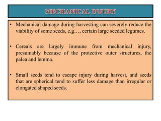 • Mechanical damage during harvesting can severely reduce the
viability of some seeds, e.g…, certain large seeded legumes.
• Cereals are largely immune from mechanical injury,
presumably because of the protective outer structures, the
palea and lemma.
• Small seeds tend to escape injury during harvest, and seeds
that are spherical tend to suffer less damage than irregular or
elongated shaped seeds.
 