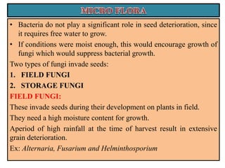 • Bacteria do not play a significant role in seed deterioration, since
it requires free water to grow.
• If conditions were moist enough, this would encourage growth of
fungi which would suppress bacterial growth.
Two types of fungi invade seeds:
1. FIELD FUNGI
2. STORAGE FUNGI
FIELD FUNGI:
These invade seeds during their development on plants in field.
They need a high moisture content for growth.
Aperiod of high rainfall at the time of harvest result in extensive
grain deterioration.
Ex: Alternaria, Fusarium and Helminthosporium
 
