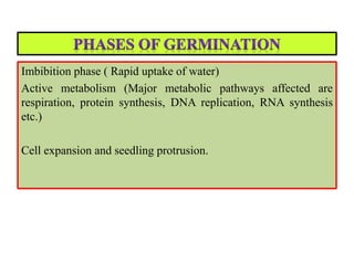 Imbibition phase ( Rapid uptake of water)
Active metabolism (Major metabolic pathways affected are
respiration, protein synthesis, DNA replication, RNA synthesis
etc.)
Cell expansion and seedling protrusion.
 