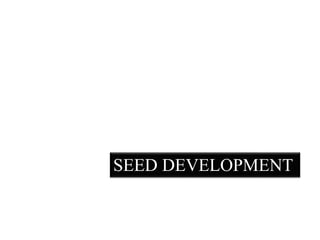 SEED DEVELOPMENT
 