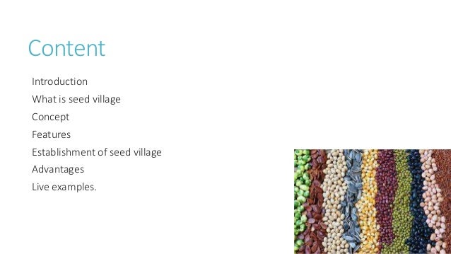seed-village-ppt