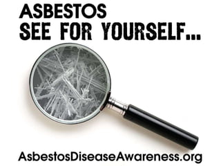 ADAO's "Asbestos: See for Yourself” Photographic Educational Campaign 