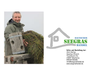 Seegras als Dämmstoff