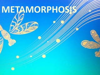 Self Mastery* Elevates self-awareness of emotions, improving appropriate, concise communication.* Has a positive impact on clinical team cohesiveness, contributing to positive patient outcomes.* Minimizes the negative stress consequences of nursing, reducing nurse burnout and costly turnover, recruiting, and training expenses.