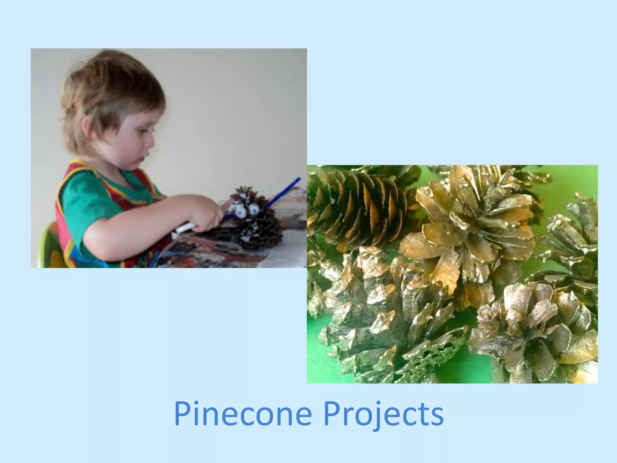 Pinecone 
Projects 
 
