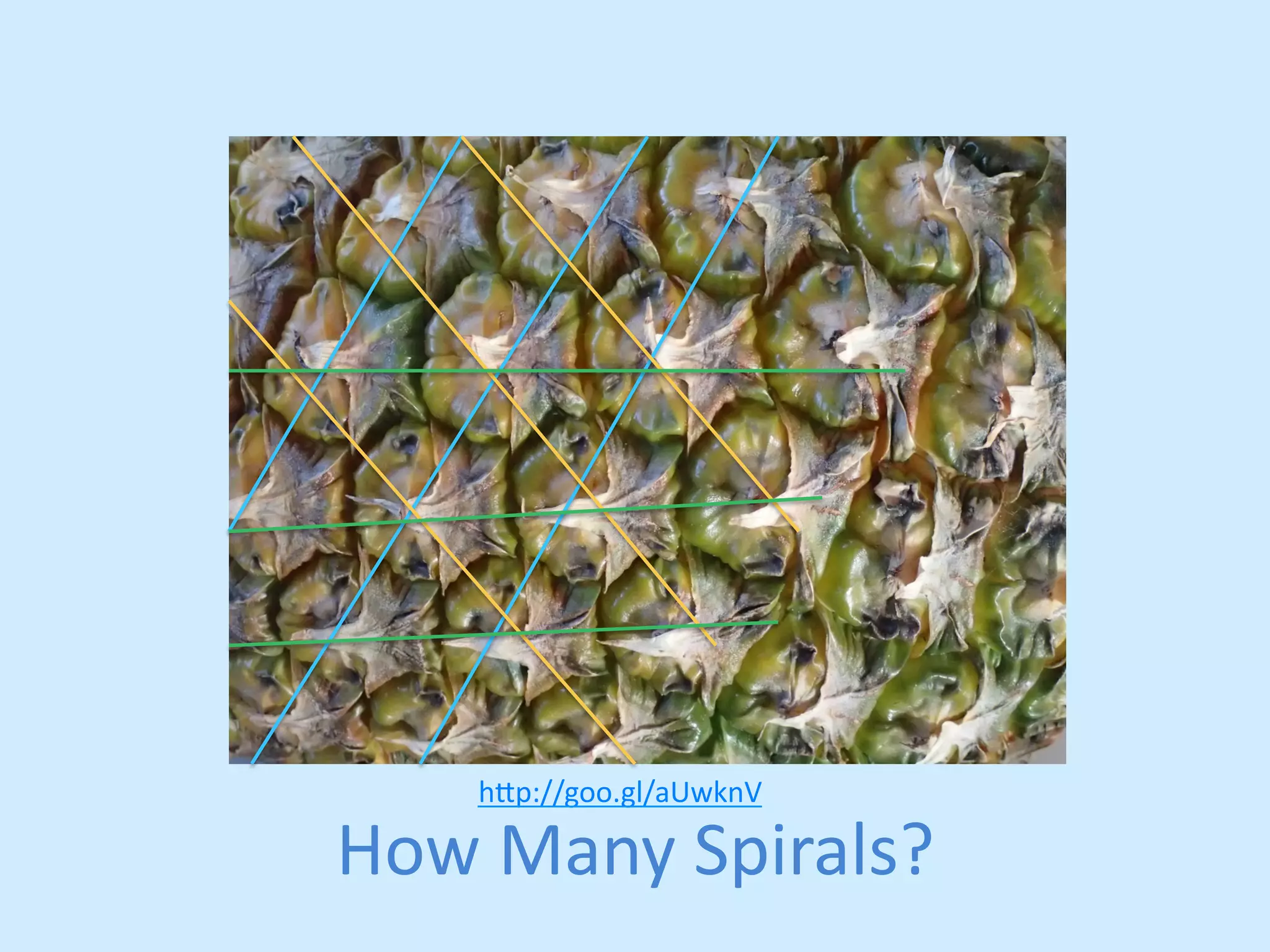 h,p://goo.gl/aUwknV 
How 
Many 
Spirals? 
 
