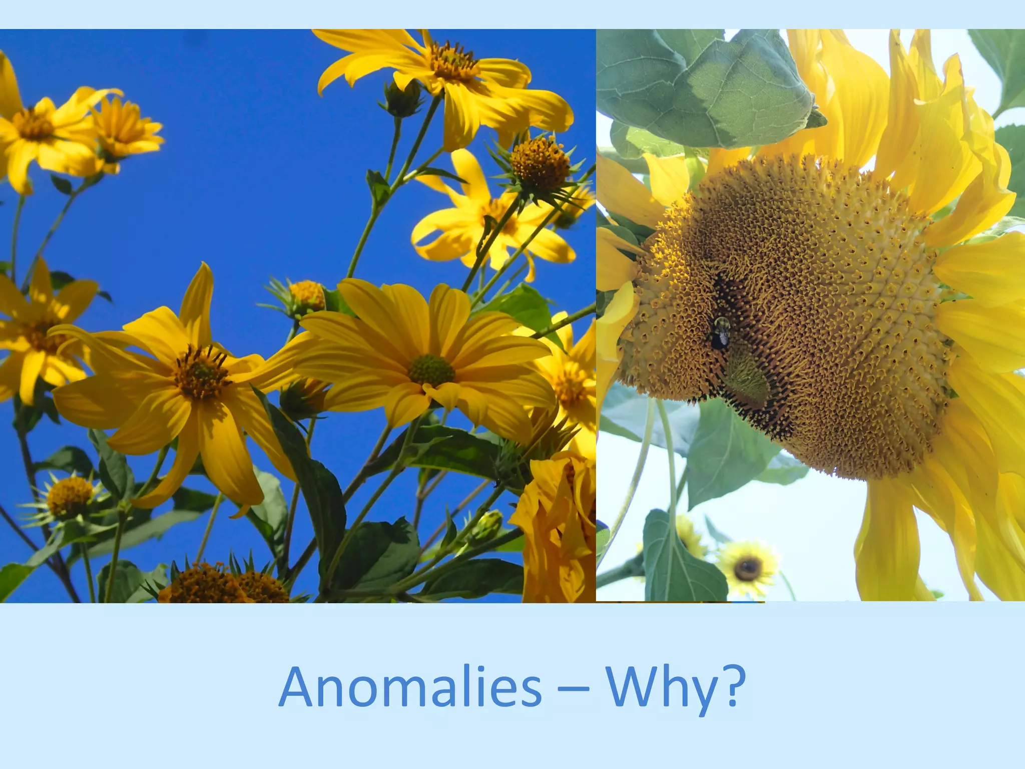 Anomalies 
– 
Why? 
 
