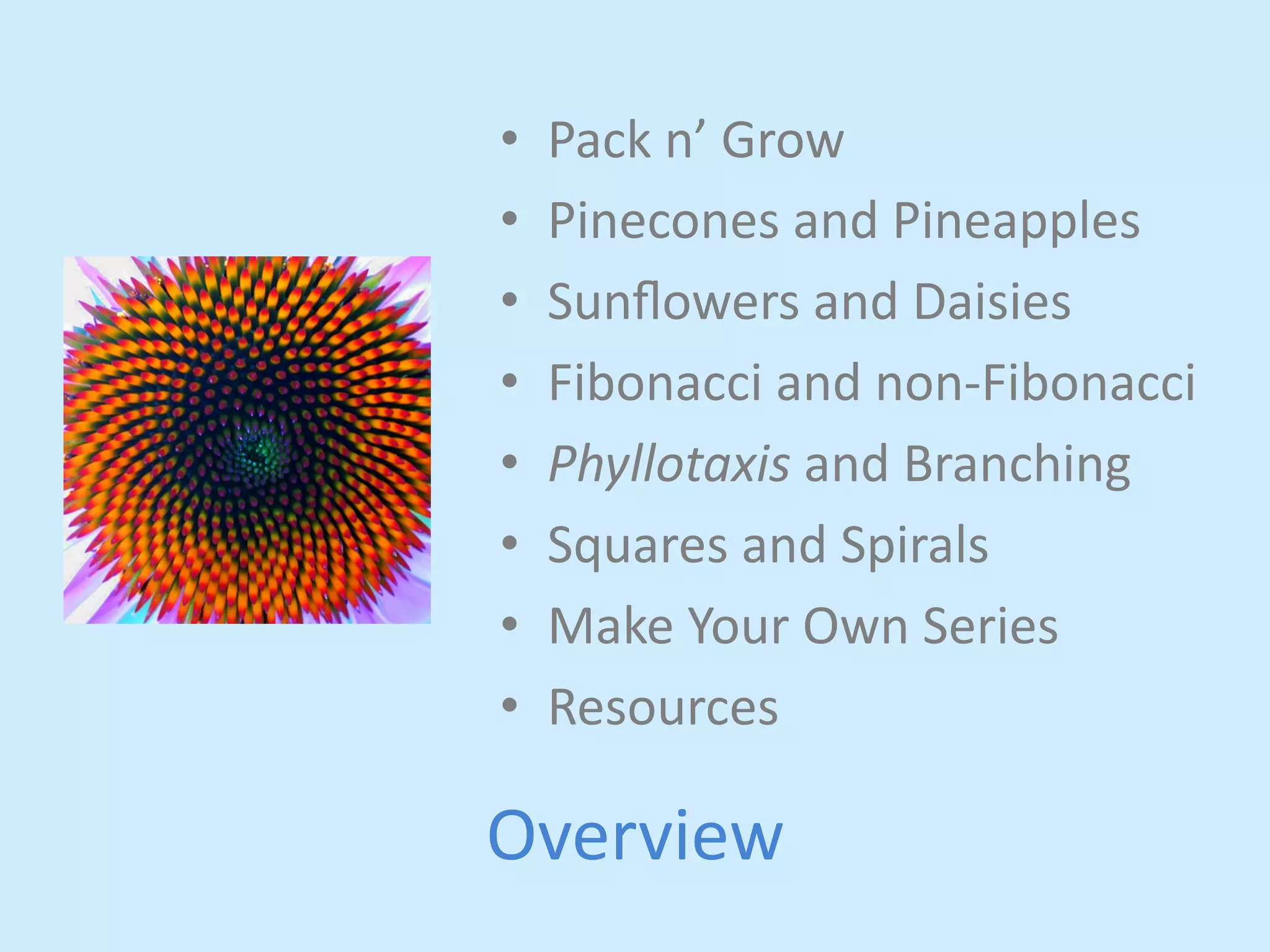 • Pack 
n’ 
Grow 
• Pinecones 
Overview 
and 
Pineapples 
• Sunflowers 
and 
Daisies 
• Fibonacci 
and 
non-­‐Fibonacci 
• Phyllotaxis 
and 
Branching 
• Squares 
and 
Spirals 
• Make 
Your 
Own 
Series 
• Resources 
 
