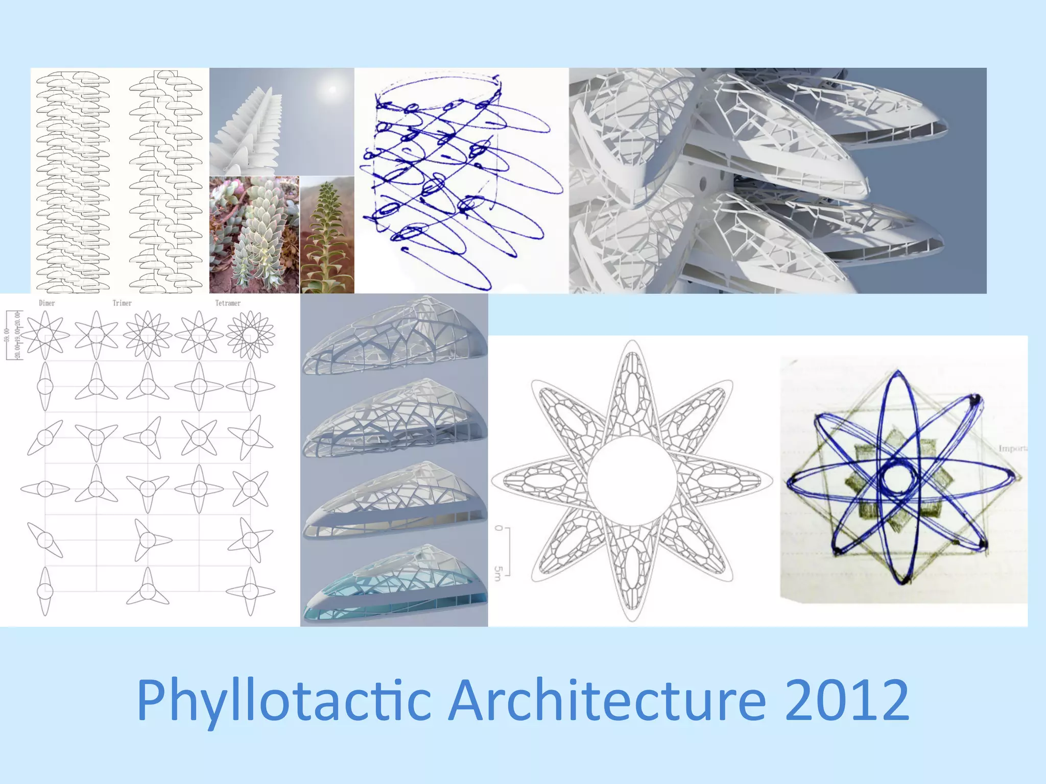Phyllotacjc 
Architecture 
2012 
 