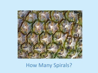 How 
Many 
Spirals? 
 