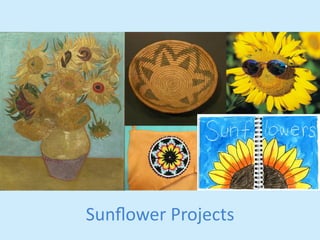 Sunflower 
Projects 
 