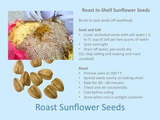 Roast 
In-­‐Shell 
Sunflower 
Seeds 
Brush 
or 
pick 
seeds 
off 
seedhead 
Soak 
and 
Salt 
• Cover 
unshelled 
seeds 
with 
salt 
water 
( 
¼ 
to 
½ 
cup 
of 
salt 
per 
two 
quarts 
of 
water 
• Soak 
overnight 
• Drain 
off 
water, 
pat 
seeds 
dry 
(Or: 
Skip 
saljng 
and 
soaking 
and 
roast 
unsalted) 
Roast 
• Preheat 
oven 
to 
300 
º 
F 
• Spread 
seeds 
evenly 
on 
baking 
sheet 
• Bake 
for 
30 
– 
40 
minutes 
• Check 
and 
sjr 
occasionally 
• Cool 
before 
eajng 
• Store 
when 
cool 
in 
airjght 
container 
Roast 
Sunflower 
Seeds 
 