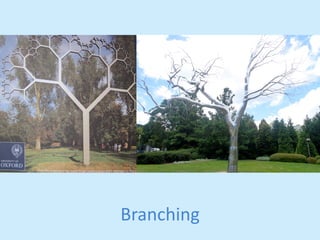 Branching 
 