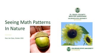 Seeing Math Patterns
In Nature
Mary Van Dyke, October 2020
 