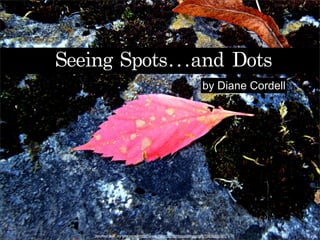 Seeing	 Spots...and	 Dots
by Diane Cordell
“Spotted leaf” by dmcordell http://www.flickr.com/photos/dmcordell/7983689107/
 