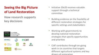 Seeing the Big Picture
of Land Restoration
How research supports
key decisions
• Initiative 20x20 receives valuable
support through a technical
committee
• Building evidence on the feasibility of
different restoration strategies for
specific settings and stakeholders
• Working with governments to
develop national restoration
strategies that specify opportunities
and priorities
• CIAT contributes through on-going
work in six countries that targets
different agricultural systems and key
 